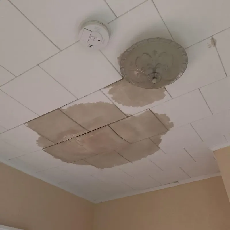 Ceiling Water Damage Repair in McGuire AFB, NJ